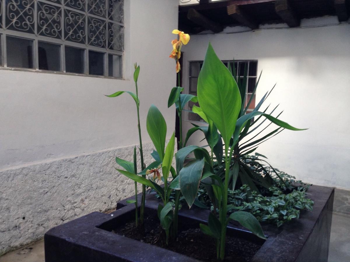 Chacha International Hostel Chachapoyas Buitenkant foto